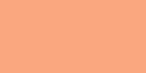 Apricot -Zipper Invisible 9"